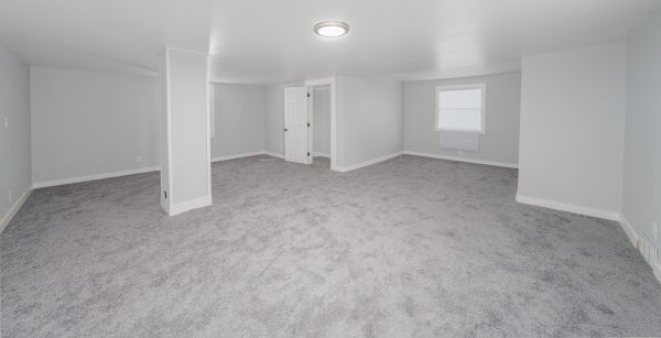 Basement Carpeting