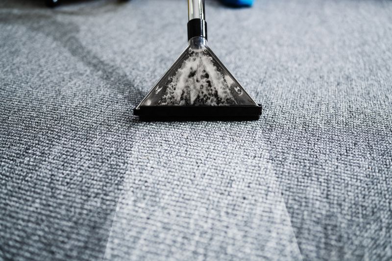 Carpet Deep Cleaning